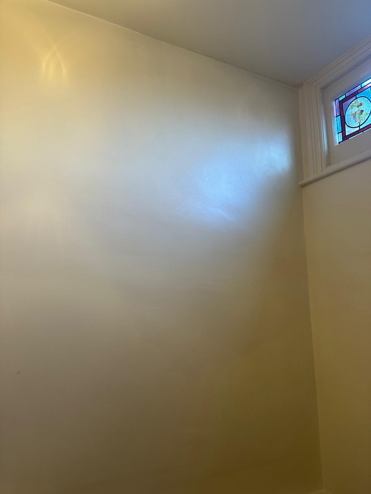 Hallway wall repair and painting after leak damage in SW2 London